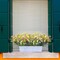 12 Bundles Artificial Wild Flowers Daisy Plant Lifelike UV Resistant Fake Plastic Flowers Indoor Outside Hanging Plants Mixed Colors Garden Party Holiday Home Office (12) 4.72"D x 4.72"W x 13.78"H
